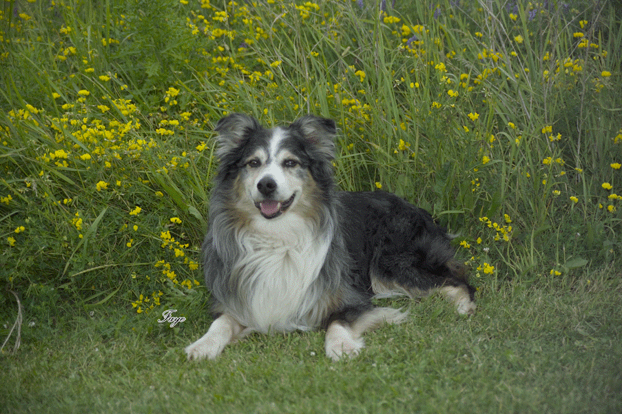 Tucker & Grace – May 2000