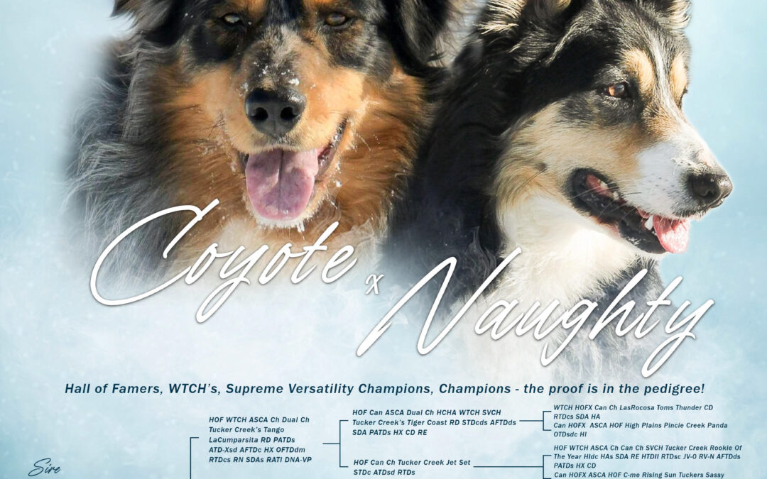 Naughty x Coyote 2025